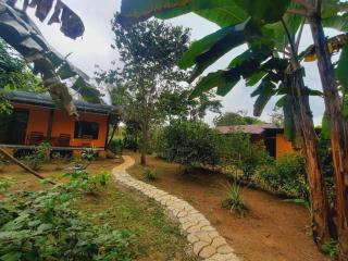 Cabinas Corcovado Green Parrot, Los Planes Drake - 3