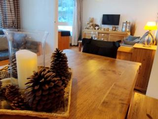 Appartement cosy 7 couchages au pied des pistes - Centre Prapoutel - FR-1-771-60 - 4