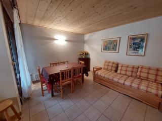 Charmant 2 pièces aux Deux Alpes, 40m², proche des pistes pour 4 pers. - FR-1-516-215 - Les Deux Alpes - 2