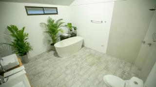 Anthurium house - 4