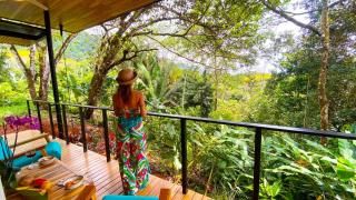 Casita Jungle Nest, 5 minutes drive to Playa Linda, 15 to Dominical, Wifi Starlink - Matapalo - 2