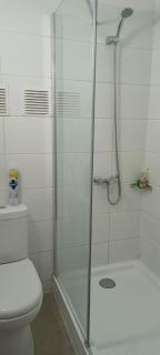 Departamento Acogedor en el Corazón de la Ciudad, de 2 dormitorios - 2 baños ducha - Santiago - 1