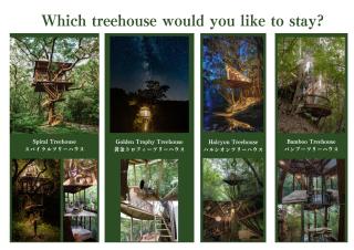 Treeful Treehouse Sustainable Resort - Nago - 9