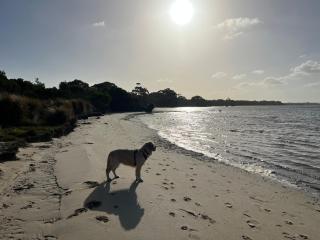 Beach retreat Moo Views! Pet friendly,linen,wifi - Venus Bay - 4