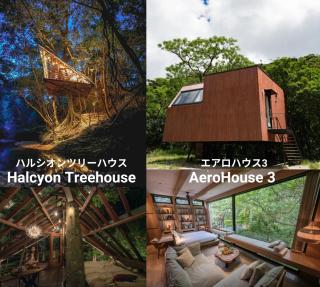 Treeful Treehouse Sustainable Resort - Nago - 3