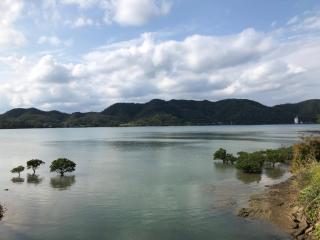 Amami North Mangrove Inn - Vacation STAY 90032v - Amami - 7