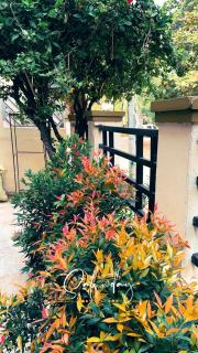 Vizagstayinn - Visakhapatnam - 1