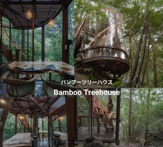 Treeful Treehouse Sustainable Resort - Nago - 1