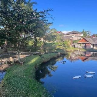 Talaga Tomohon Home Stay and Fishing Pond - 1