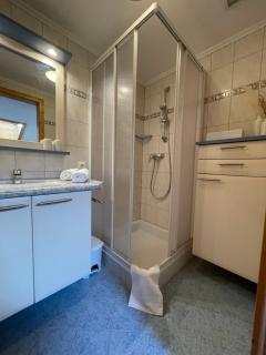 Ferienwohnung Bergglück - Wildschönau - 1
