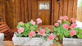 Jacuzzi, Hot Tub, and Sauna Retreat near Hévíz - 9