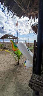Willie's Beach Resort - San Jose - 4