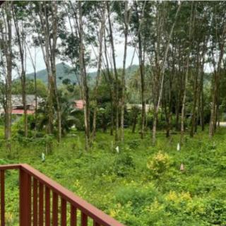 Mimi Home 3 - 6