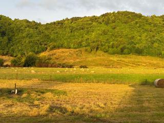 Bellbird Hideaway - Pleasant Valley - 3
