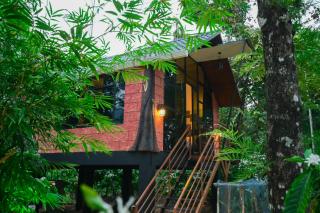 cascara coffee cottage - Kalpetta - 5