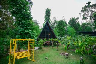 cascara coffee cottage - Kalpetta - 1