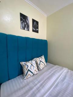 Beautiful, affordable 1bdrm in Milimani - 3