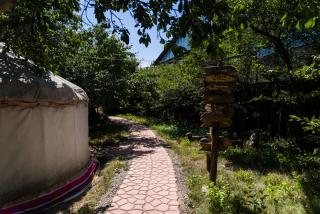 Arista Yurt Camp - 6