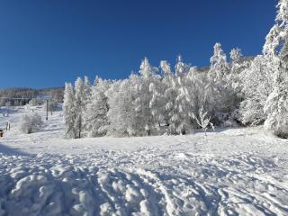 Vacances à la montagne ou au ski - - 7