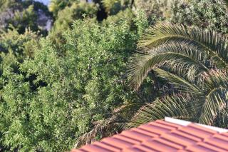 Apartmani Marko - Gdinj - 7