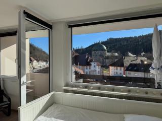 Domview Apartment - St. Blasien - 4