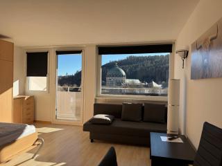 Domview Apartment - St. Blasien - 7