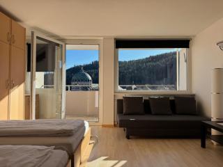 Domview Apartment - St. Blasien - 6