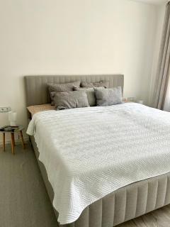 Vivist apartments - Druskininkai - 4