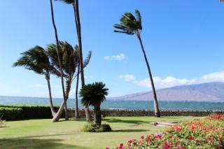 MENEHUNE SHORES #118 condo - Kihei - 7