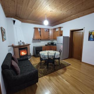 Jona Guest house - Gjirokastër - 6