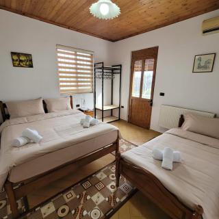 Jona Guest house - Gjirokastër - 1