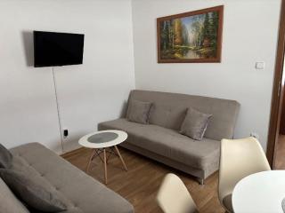 Apartmán u Hovorků - Borová Lada - 7