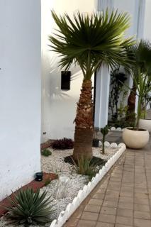 Apparemment skhirat plage - Sidi Yahia az Zaʼer - 0