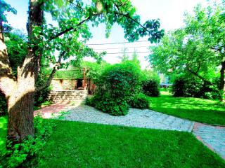 Cofy Rentals - centrally located, quiet district, air-conditioning, free parking, 24-7 express check-in-out, close to sea and everything you need for living! - Tallinn - 1