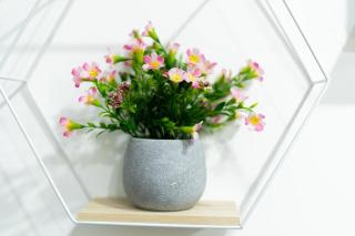 Sunlit Studio Haven - Birmingham - 8