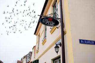 Rosen Villa Sibiu - Sibiu - 0