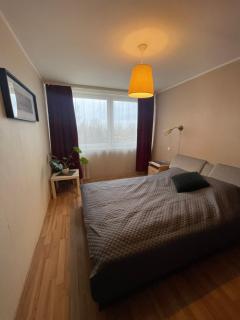 Family apartment near city centre - Vilnius - 7