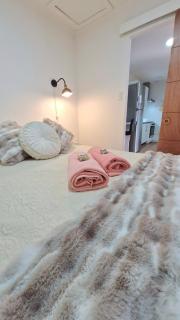 Beautiful Independent House - Punta Arenas - 6