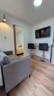 Beautiful Independent House - Punta Arenas - 3