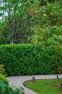 Sriwaree Pool Villa Khao Lak - 8 meters pool - 3 bedroom - 2 bath - Khao Lak - 7