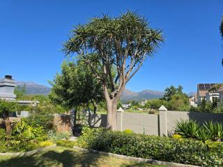 Cozy en-suite room in Wellington with own entrance - 5