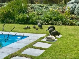 The Lily Suite - Plettenbergbaai - 3