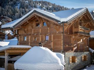 Chalet spacieux 15 pers. à Plagne 1800, au pied des pistes avec jacuzzi et sauna - FR-1-181-2791 - La Plagne Tarentaise - 1