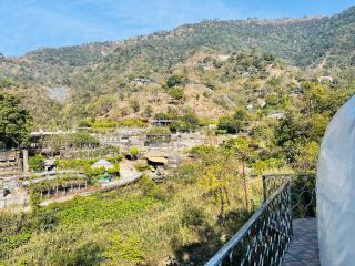 Jangal Mangal - Dehradun - 3