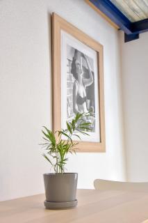 New! Contemporary with pool and parking included - Sevilla - 3