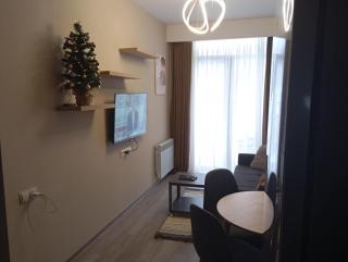 Crystal Loft 507 - Bakuriani - 2