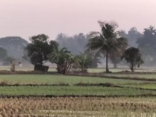 THONG HOME CAMPs - Lamphun - 5