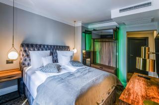HOTEL BOUTIQUE DONNA ANNA - Timişoara - 8