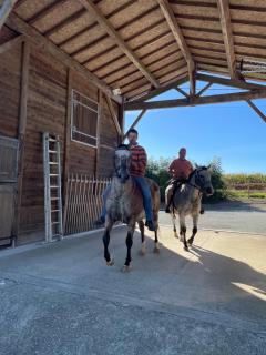 Pool country lodge, three-star rating - Verruyes - 3