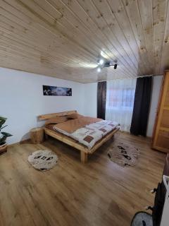 Casa Izvorul Rece - Câmpeni - 4